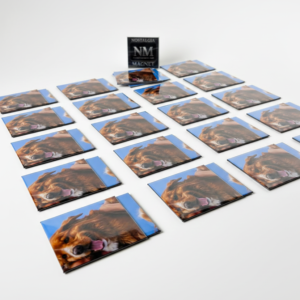 Personalized photo magnets in bulk – perfect for parties, corporate giveaways, or gifts